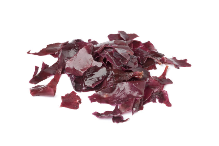 Bioloģiskās Dulse jūras aļģes (sloksnes) 40g | Īrijas savvaļas jūras aļģes - Image 3